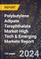 2024 Global Forecast for Polybutylene Adipate Terephthalate (Pbat) Market (2025-2030 Outlook)-High Tech & Emerging Markets Report - Product Image