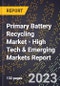 2023 Global Forecast for Primary Battery Recycling Market (2024-2029 Outlook) - High Tech & Emerging Markets Report - Product Image