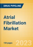 Atrial Fibrillation Market Size and Trend Report including Epidemiology, Disease Management, Pipeline Analysis, Competitor Assessment, Unmet Needs, Clinical Trial Strategies and Forecast to 2032- Product Image