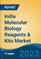 India Molecular Biology Reagents & Kits Market by Type, Application, End-user, Region, Competition Forecast & Opportunities, 2018-2028F - Product Thumbnail Image