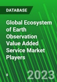 Global Ecosystem of Earth Observation Value Added Service Market Players- Product Image