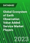 Global Ecosystem of Earth Observation Value Added Service Market Players - Product Image