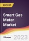 Smart Gas Meter Market: Trends, Opportunities and Competitive Analysis (2023-2028) - Product Thumbnail Image