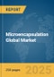 Microencapsulation Global Market Report 2025 - Product Thumbnail Image