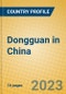 Dongguan in China - Product Image