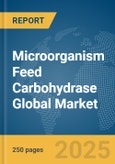 Microorganism Feed Carbohydrase Global Market Report 2024- Product Image