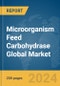 Microorganism Feed Carbohydrase Global Market Report 2024 - Product Image