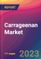 Carrageenan Market Size, Market Share, Application Analysis, Regional Outlook, Growth Trends, Key Players, Competitive Strategies and Forecasts - 2023 to 2031 - Product Image