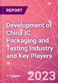 Development of China IC Packaging and Testing Industry and Key Players- Product Image