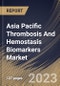 Asia Pacific Thrombosis And Hemostasis Biomarkers Market Size, Share & Industry Trends Analysis Report By Product, By Application, By End-use, By Location (Clinical Laboratory Tests, and Point-of-Care Tests), By Type, By Country and Growth Forecast, 2023 - 2030 - Product Image