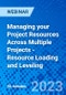 Managing your Project Resources Across Multiple Projects - Resource Loading and Leveling - Webinar (Recorded) - Product Image