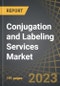 Conjugation and Labeling Services Market: Distribution by Type of Molecule, Type of Molecular Conjugate / Label, and Key Geographical Regions: Industry Trends and Global Forecasts, 2023-2035 - Product Image
