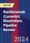 Ranibizumab (Lucentis) Biosimilars Pipeline Review - Product Image