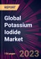 Global Potassium Iodide Market 2023-2027 - Product Thumbnail Image