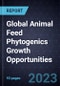 Global Animal Feed Phytogenics Growth Opportunities - Product Thumbnail Image