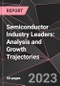 Semiconductor Industry Leaders: Analysis and Growth Trajectories - Product Thumbnail Image