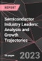 Semiconductor Industry Leaders: Analysis and Growth Trajectories - Product Image