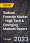 2023 Global Forecast For Sodium Formate Market (2024-2029 Outlook) - High Tech & Emerging Markets Report - Product Thumbnail Image