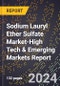 2024 Global Forecast for Sodium Lauryl Ether Sulfate (Sles) Market (2025-2030 Outlook)-High Tech & Emerging Markets Report - Product Thumbnail Image