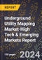 2024 Global Forecast for Underground Utility Mapping Market (2025-2030 Outlook)-High Tech & Emerging Markets Report - Product Image