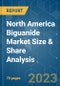 North America Biguanide Market Size & Share Analysis - Growth Trends & Forecasts (2023 - 2028) - Product Thumbnail Image