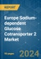 Europe Sodium-dependent Glucose Cotransporter 2 - Market Share Analysis, Industry Trends & Statistics, Growth Forecasts 2018 - 2029 - Product Thumbnail Image