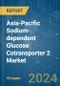 Asia-Pacific Sodium-dependent Glucose Cotransporter 2 (SGLT-2) - Market Share Analysis, Industry Trends & Statistics, Growth Forecasts 2018 - 2029 - Product Thumbnail Image