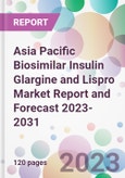 Asia Pacific Biosimilar Insulin Glargine and Lispro Market Report and Forecast 2023-2031- Product Image