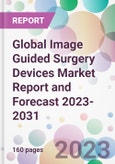 Global Image Guided Surgery Devices Market Report and Forecast 2023-2031- Product Image