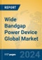 Wide Bandgap Power Device Global Market Insights 2023, Analysis and Forecast to 2028, by Manufacturers, Regions, Technology, Product Type - Product Image