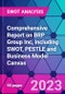 Comprehensive Report on BRP Group Inc, including SWOT, PESTLE and Business Model Canvas - Product Thumbnail Image