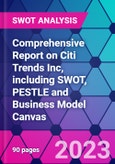 Comprehensive Report on Citi Trends Inc, including SWOT, PESTLE and Business Model Canvas- Product Image