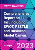 Comprehensive Report on 111 Inc, including SWOT, PESTLE and Business Model Canvas- Product Image