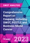 Comprehensive Report on Coupang, including SWOT, PESTLE and Business Model Canvas - Product Thumbnail Image