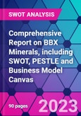 Comprehensive Report on BBX Minerals, including SWOT, PESTLE and Business Model Canvas- Product Image