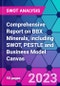 Comprehensive Report on BBX Minerals, including SWOT, PESTLE and Business Model Canvas - Product Thumbnail Image