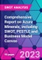 Comprehensive Report on Azure Minerals, including SWOT, PESTLE and Business Model Canvas - Product Thumbnail Image