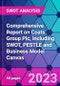 Comprehensive Report on Coats Group Plc, including SWOT, PESTLE and Business Model Canvas - Product Thumbnail Image