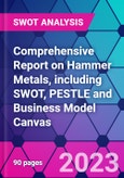Comprehensive Report on Hammer Metals, including SWOT, PESTLE and Business Model Canvas- Product Image