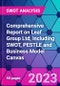 Comprehensive Report on Leaf Group Ltd, including SWOT, PESTLE and Business Model Canvas - Product Thumbnail Image