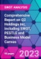 Comprehensive Report on Q2 Holdings Inc, including SWOT, PESTLE and Business Model Canvas - Product Thumbnail Image