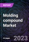 Molding compound Market based on Resin Type, by Applications, and by Region - Trends & Forecast: 2022-2030 - Product Image