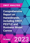 Comprehensive Report on Hanesbrands, including SWOT, PESTLE and Business Model Canvas- Product Image