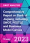 Comprehensive Report on Bank of Jiujiang, including SWOT, PESTLE and Business Model Canvas - Product Thumbnail Image