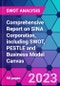 Comprehensive Report on SINA Corporation, including SWOT, PESTLE and Business Model Canvas - Product Thumbnail Image