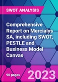 Comprehensive Report on Mercialys SA, including SWOT, PESTLE and Business Model Canvas- Product Image