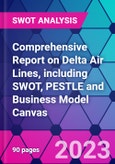 Comprehensive Report on Delta Air Lines, including SWOT, PESTLE and Business Model Canvas- Product Image