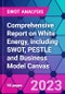 Comprehensive Report on White Energy, including SWOT, PESTLE and Business Model Canvas - Product Thumbnail Image
