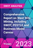 Comprehensive Report on West Wits Mining, including SWOT, PESTLE and Business Model Canvas- Product Image