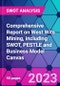 Comprehensive Report on West Wits Mining, including SWOT, PESTLE and Business Model Canvas - Product Thumbnail Image